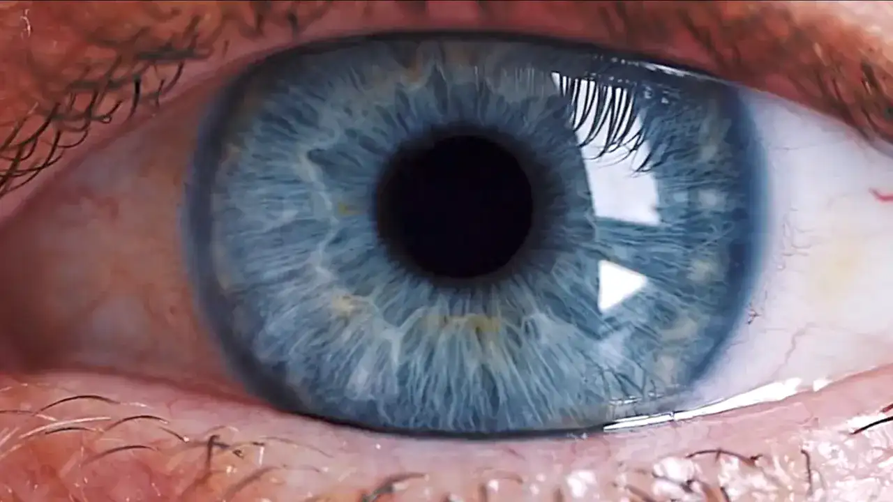 Vidéo publicitaire pour les écuries du Mas Long comprenant des plans en mouvement et du drone.